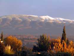 ventoux